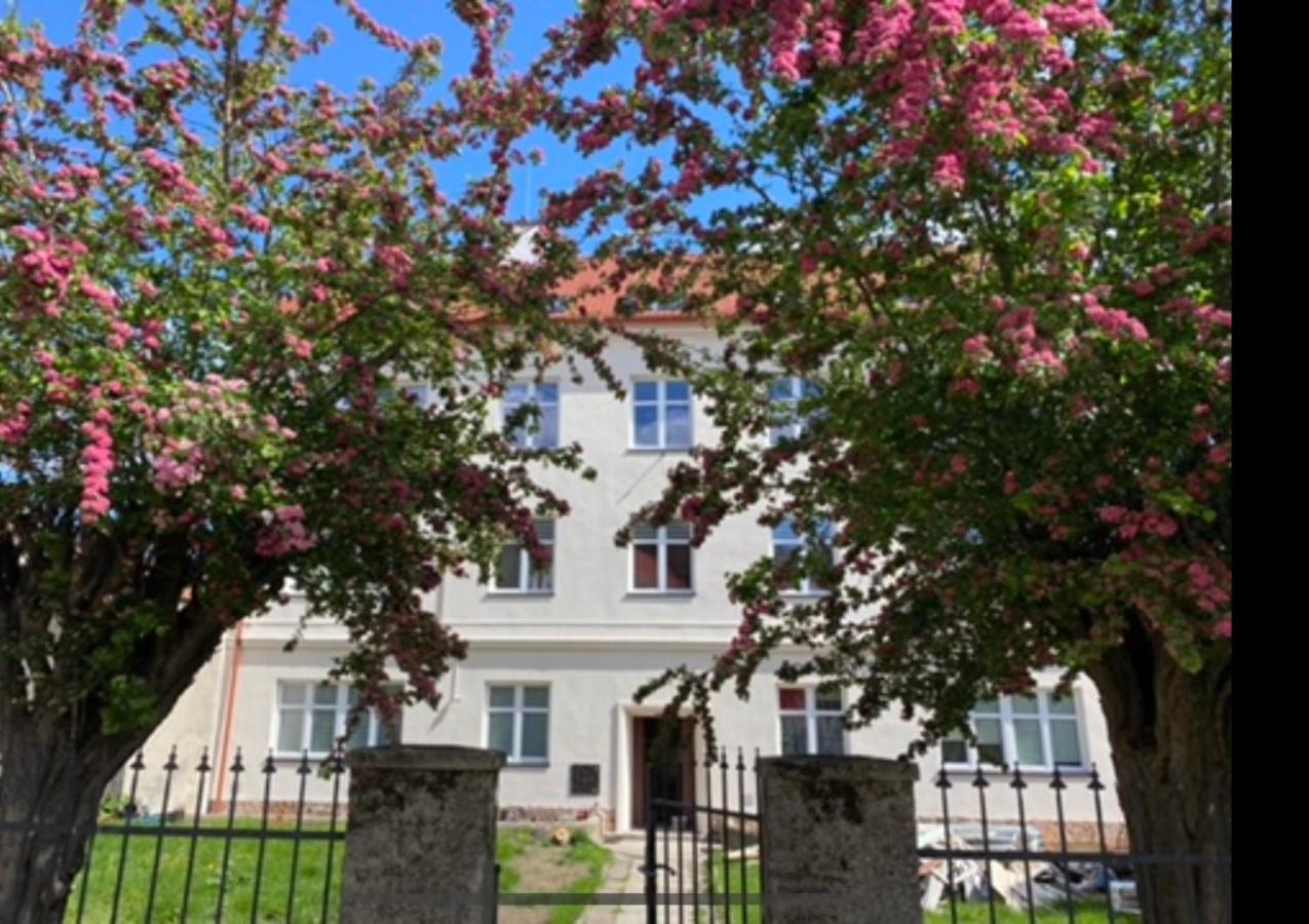 Apartament 3 Pokojowy Z Parkingiem Apartment Zabkowice Slaskie Luaran gambar